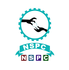 Electrical Engineering Faculty Vacancy – NS Polytechnic College | Free Accommodation Logo